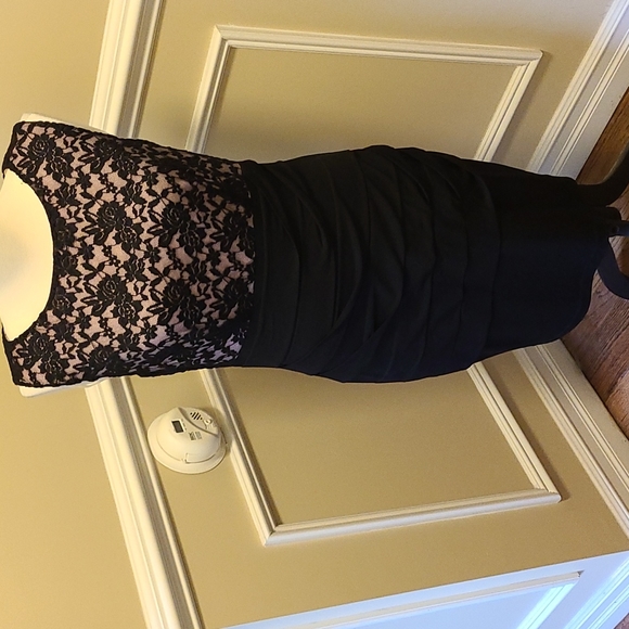 connected apparel Dresses & Skirts - Nwot Beautiful sleeveless fitted dress with illusion style top